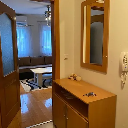 Nasic Apartman *