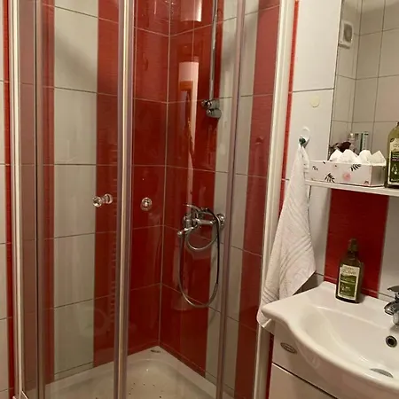Apartment Nasic *